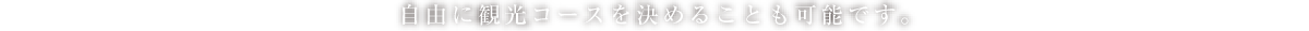 自由に観光コースを決めることも可能です