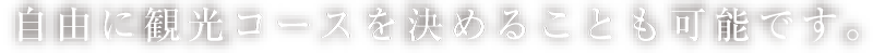 自由に観光コースを決めることも可能です